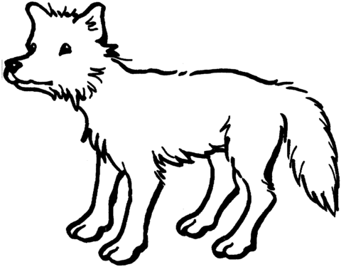 Coyote 3 Coloring Page